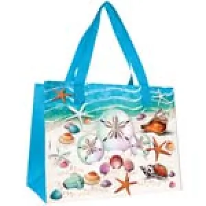 American Gift 18x13x9" Shopping Bag