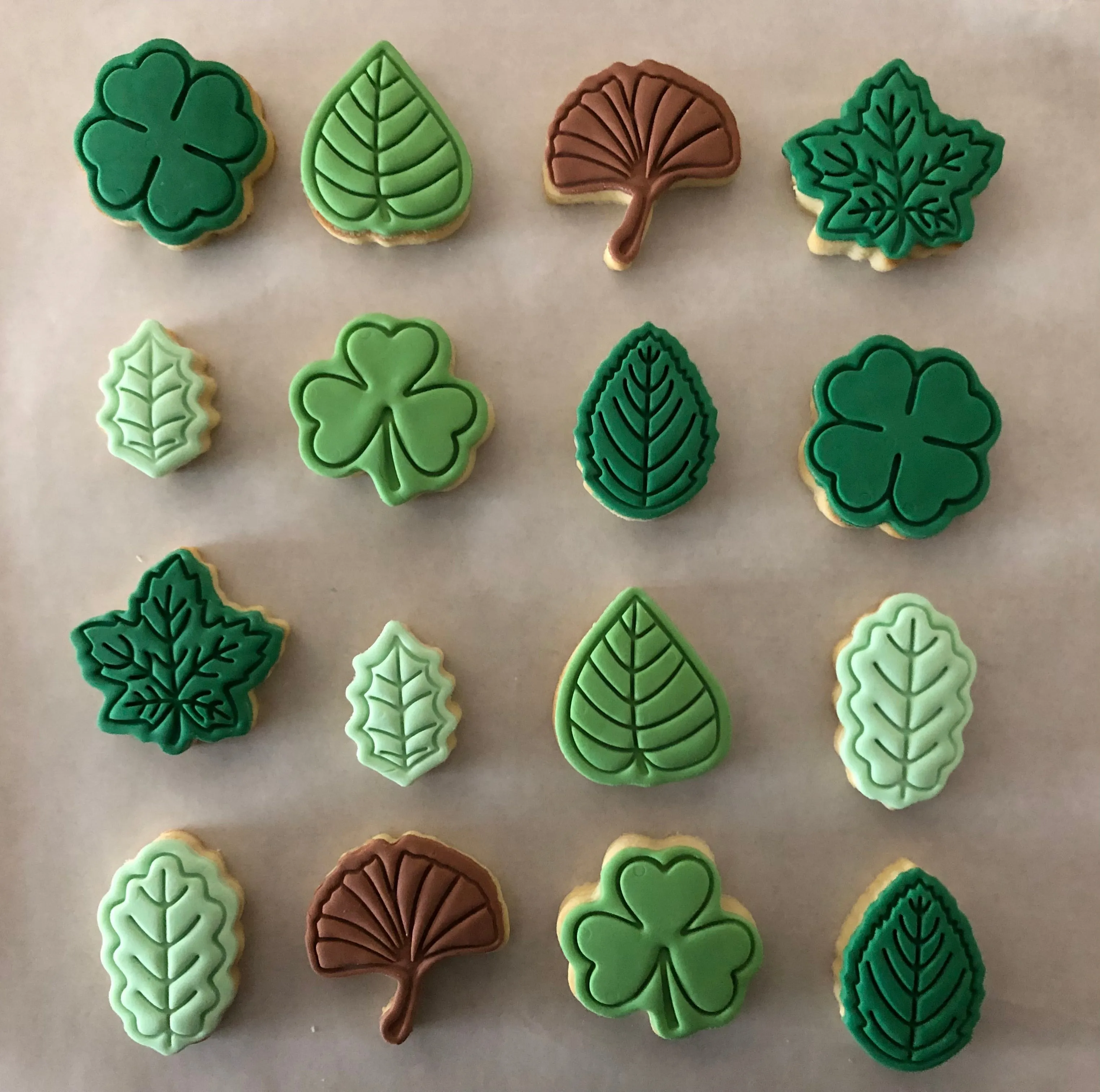 Assorted Leaves Cookie Cutter & Stamp Set