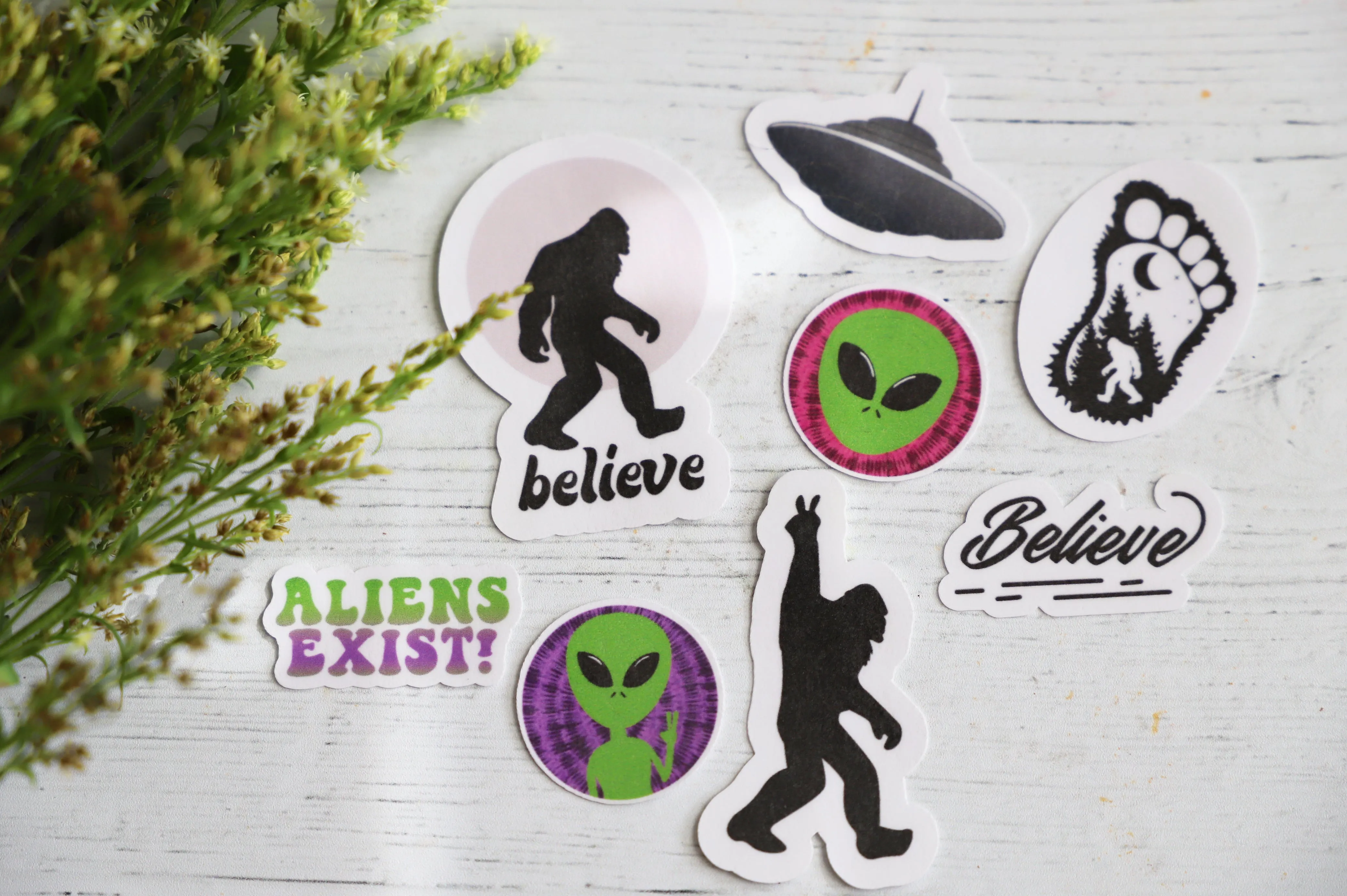 Believe sticker pack | 8pk