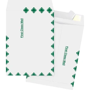 Business Source DuPont Tyvek Catalog Envelopes