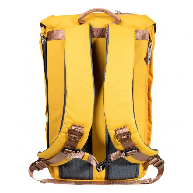 Colorado Reborn Mustard