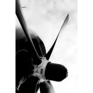 Curtis Helldiver Steven Greenwald Print