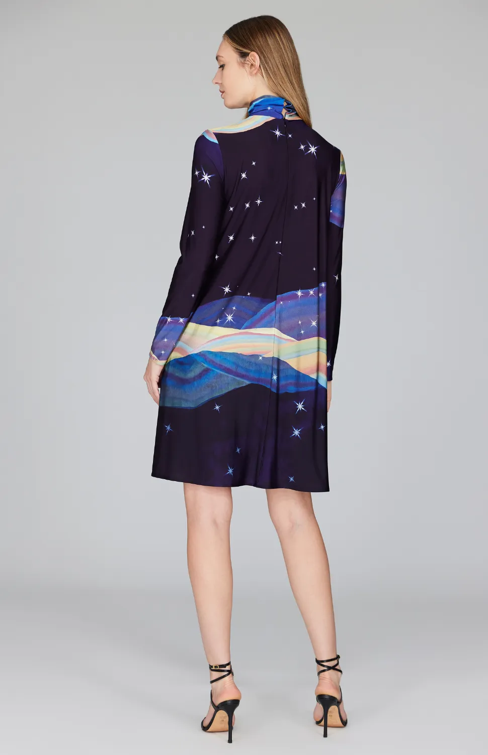 Desert Dreams Turtleneck Trapeze Dress