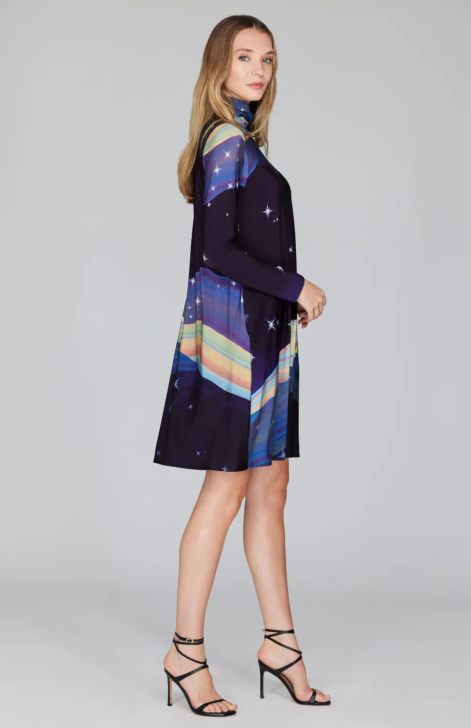 Desert Dreams Turtleneck Trapeze Dress