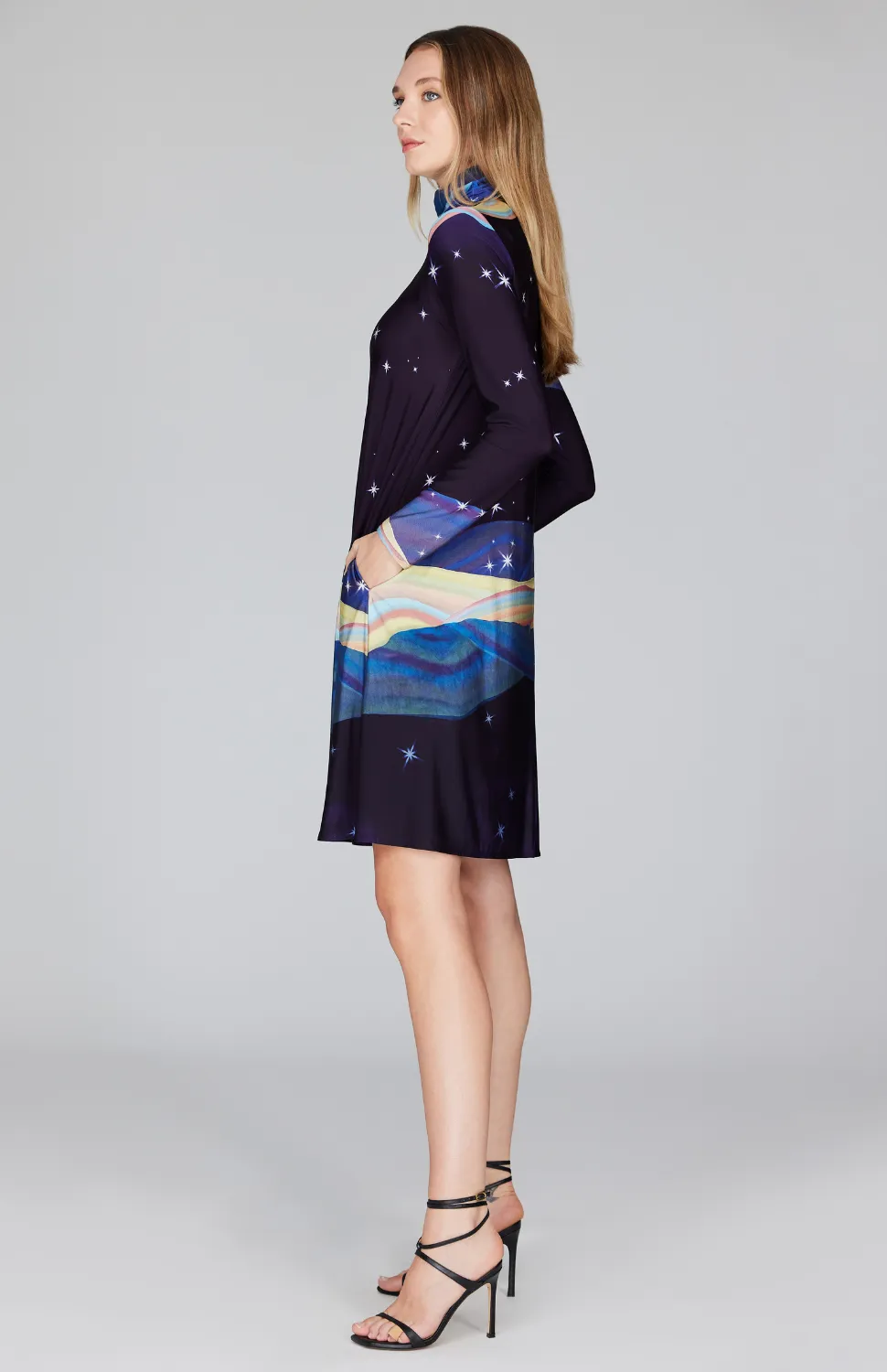 Desert Dreams Turtleneck Trapeze Dress