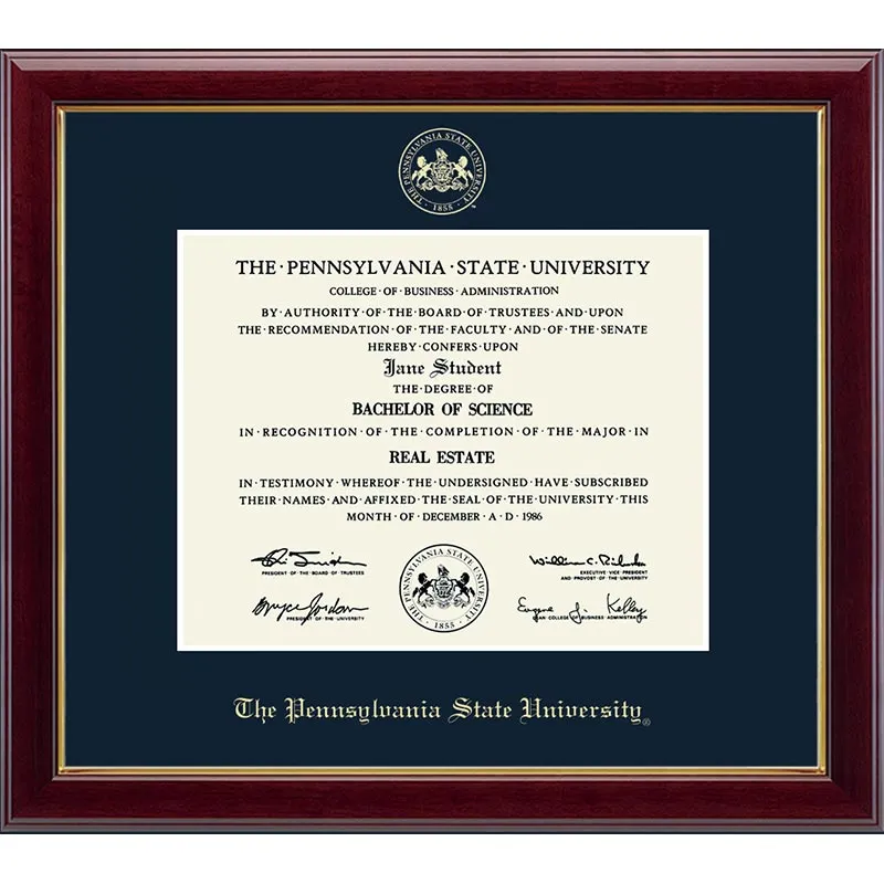 Embossed Gallery Penn State Diploma Frame