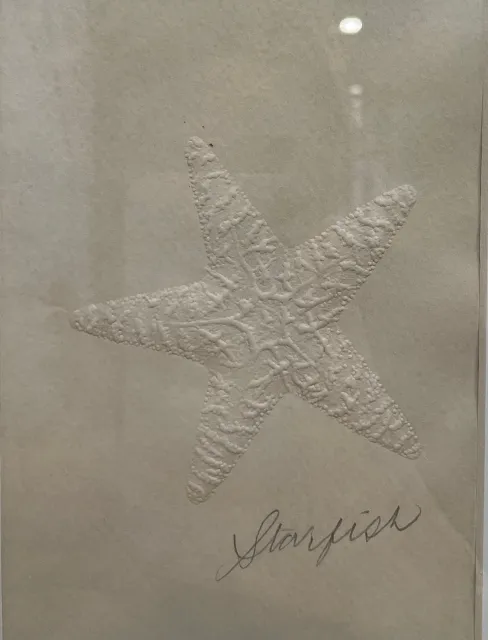 Embossed Starfish