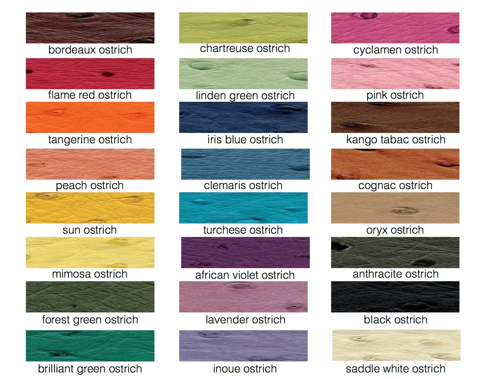 EMMA - ASSORTED COLORS