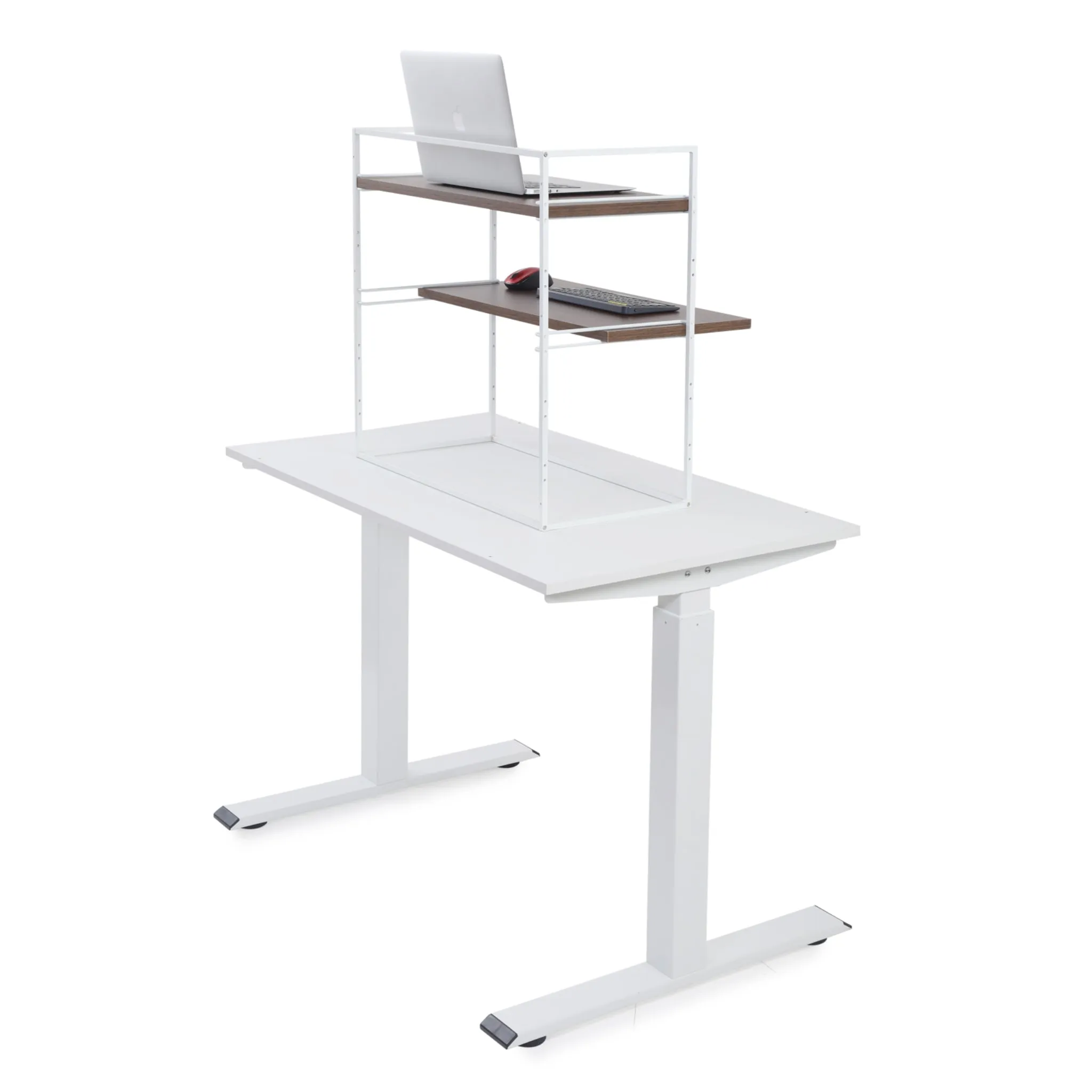 Fitizen Zen Height Adjustable Table, White & Brown FITI-150-WB