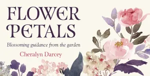 Flower Petals Cards