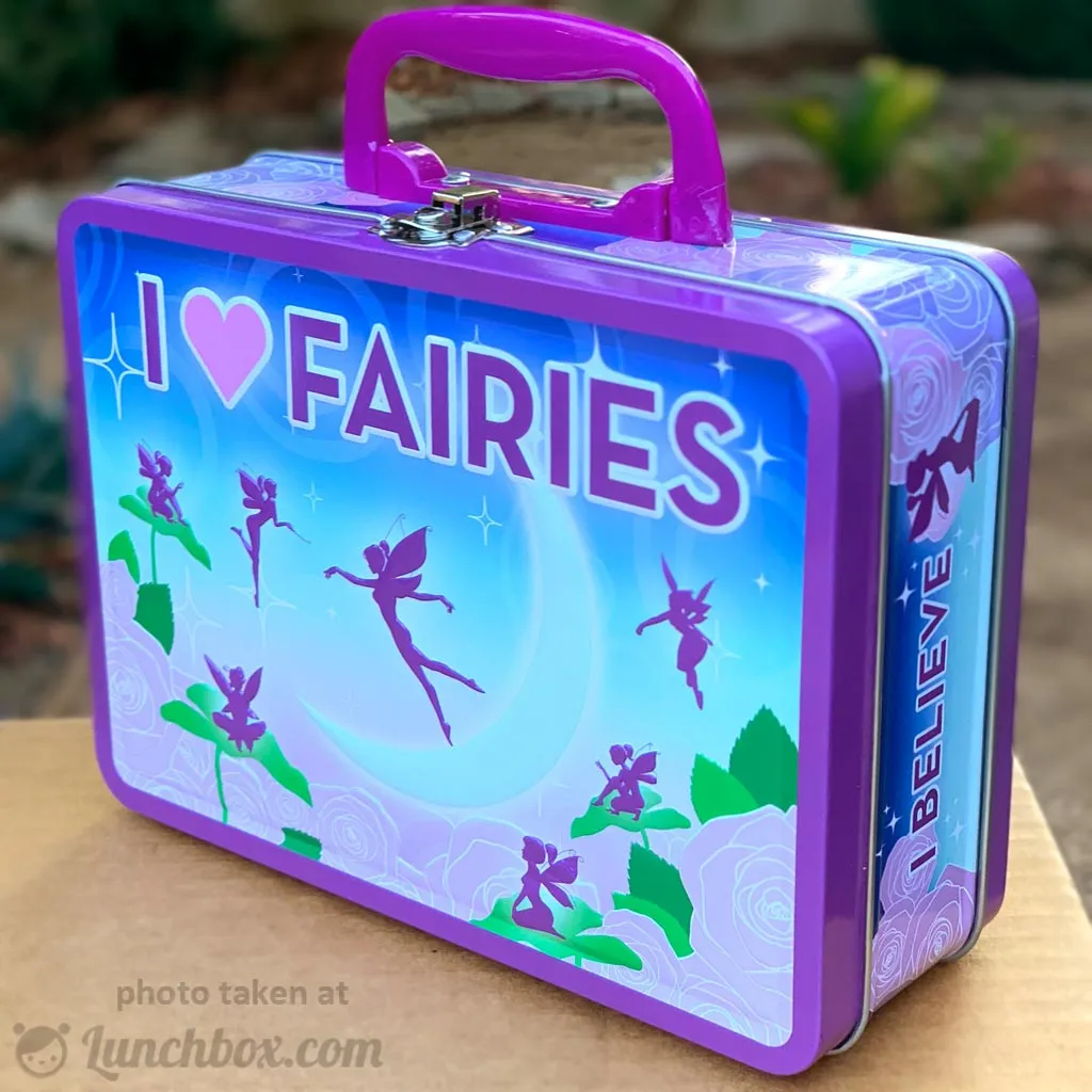 I Love Fairies Snack Box