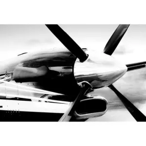 King Air 250 Steven Greenwald Print
