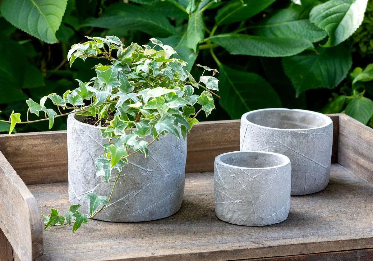 Leaf Embossed Cement Pot, Large