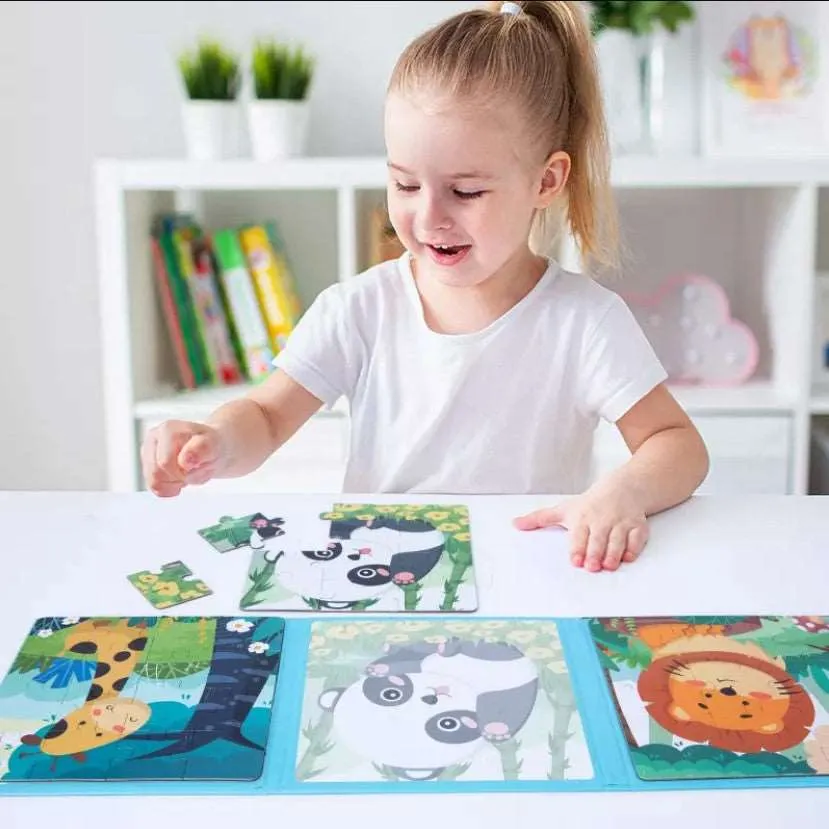 Level-Up Magnetic Jigsaw Puzzle Sets 3in1 - Ages 3  Years