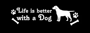 Life is better with a dog