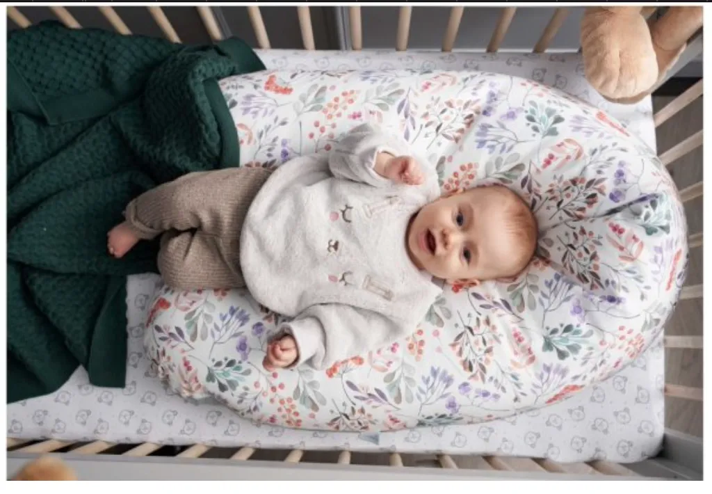 Lorelli Multifunctional Pillow