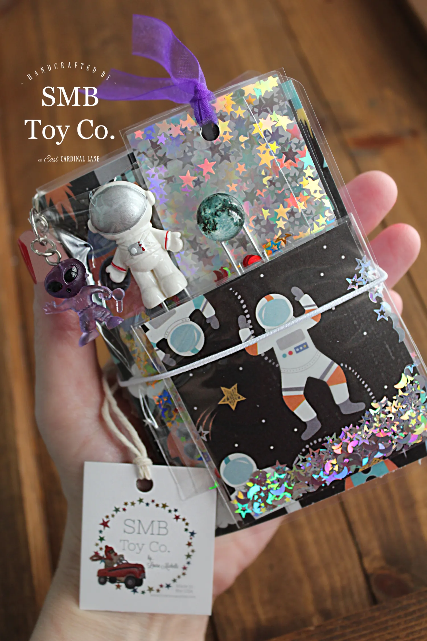 Mini Travel Journal - Astronauts in Space