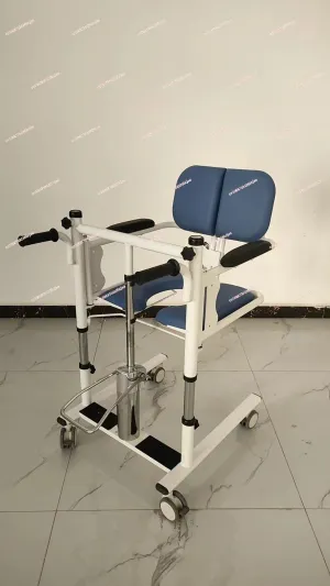 Multifunctional Household Lifter