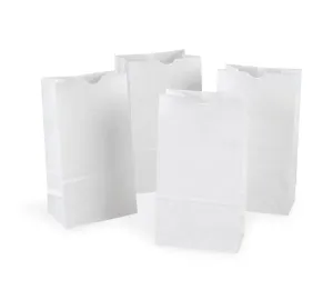RiteEarth - 6 Lbs Plain White Paper Bag, Pack of 500, 2Bn/Case (1000/Case) - PB060W