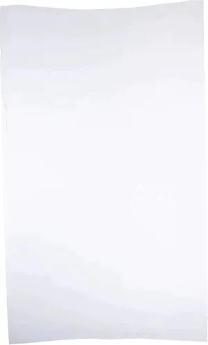 RiteSource - 10 lb, 7 X 3 X 20" White Poly Bags, 500/bx - 0306507