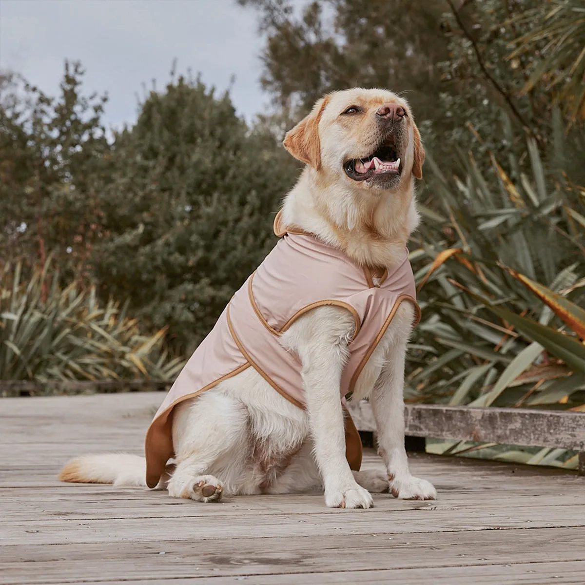 Ruff Jacket Dusty Pink