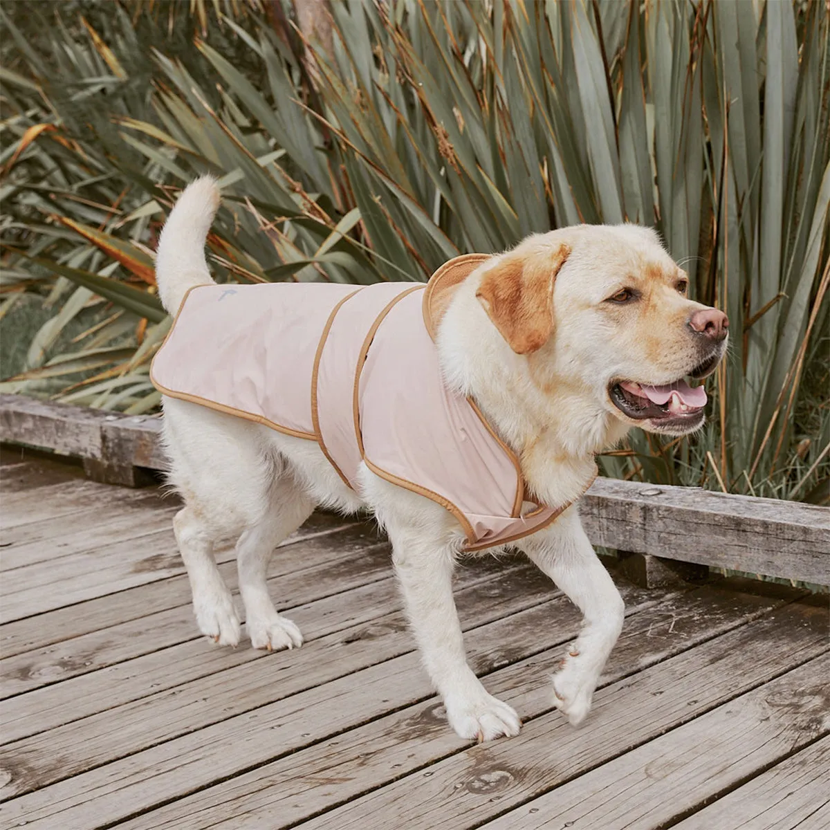 Ruff Jacket Dusty Pink