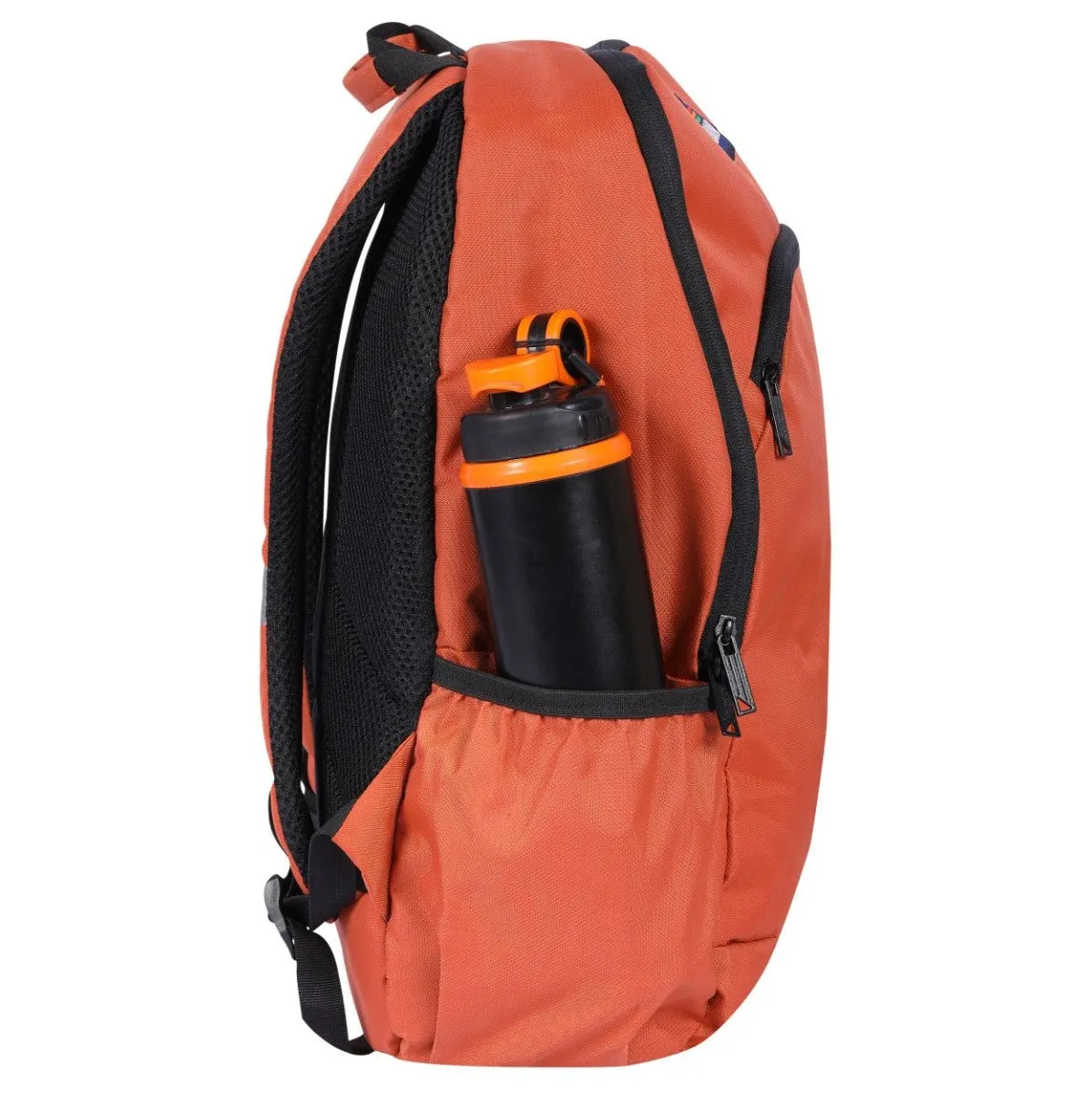 Snug Orange