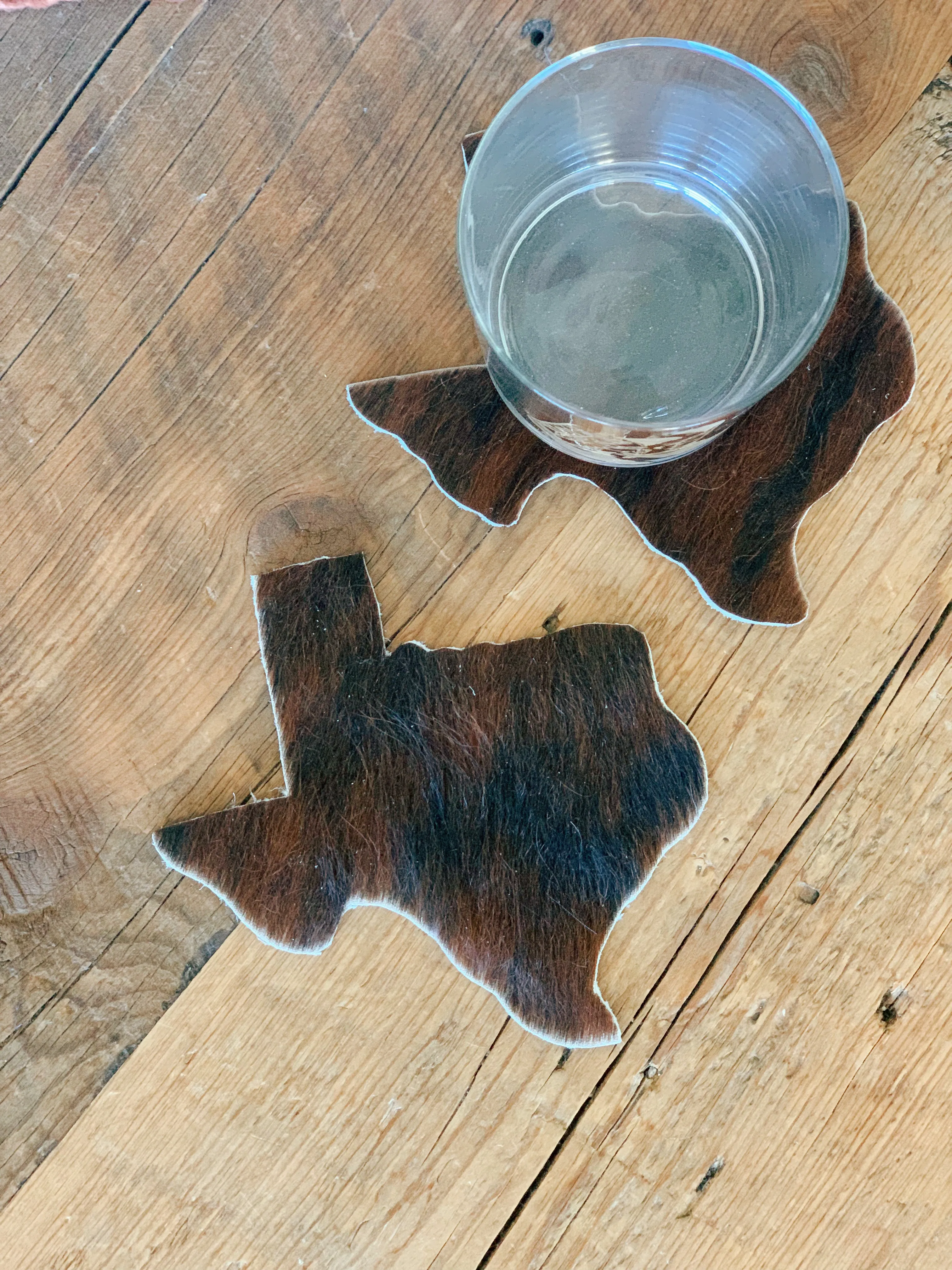 Texas Cowhide Coaster (FREE SHIPPING)