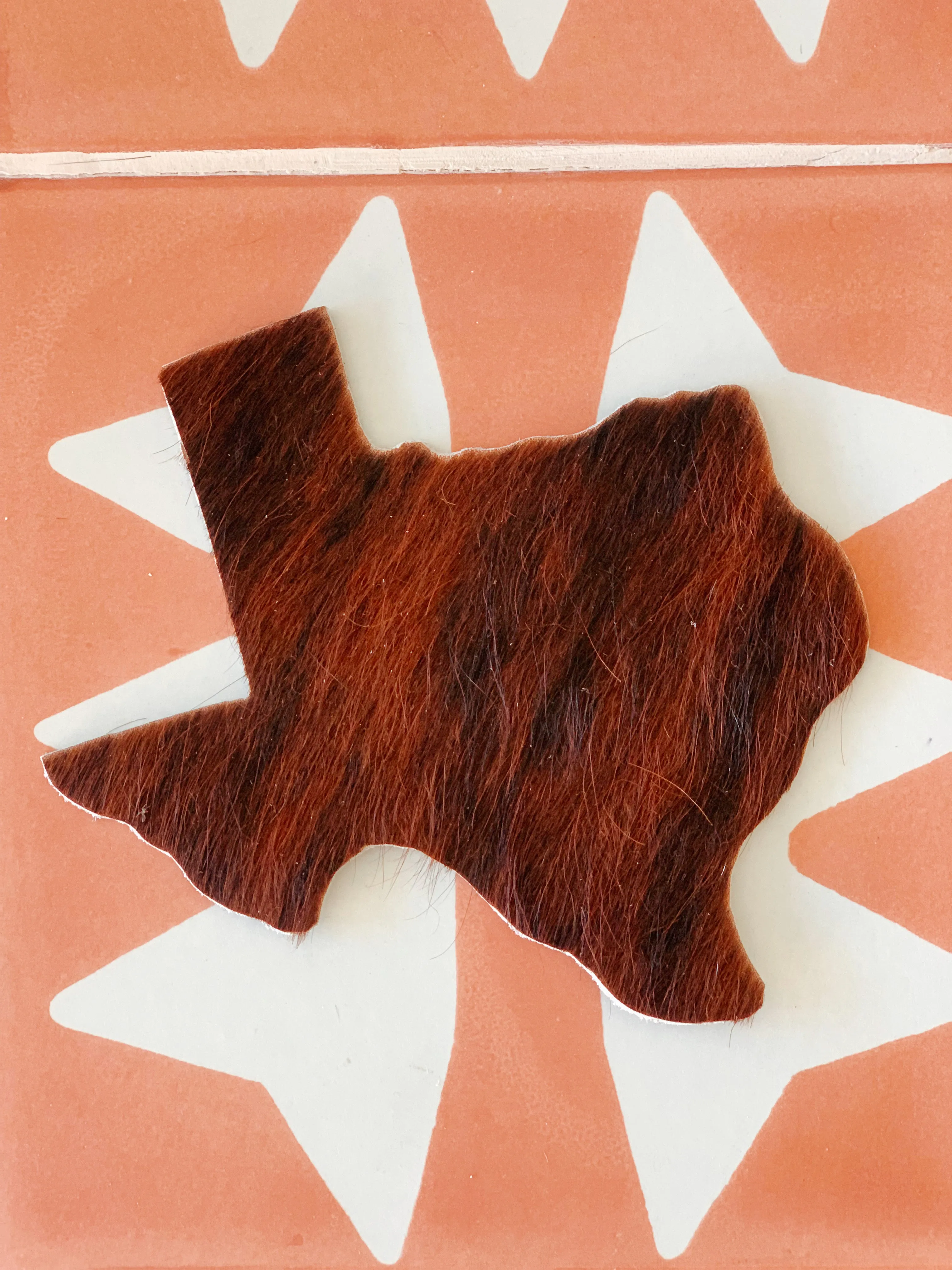 Texas Cowhide Coaster (FREE SHIPPING)