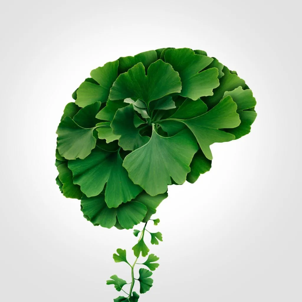 Viên Uống Bổ Não Trunature Ginkgo Biloba 340 Viên