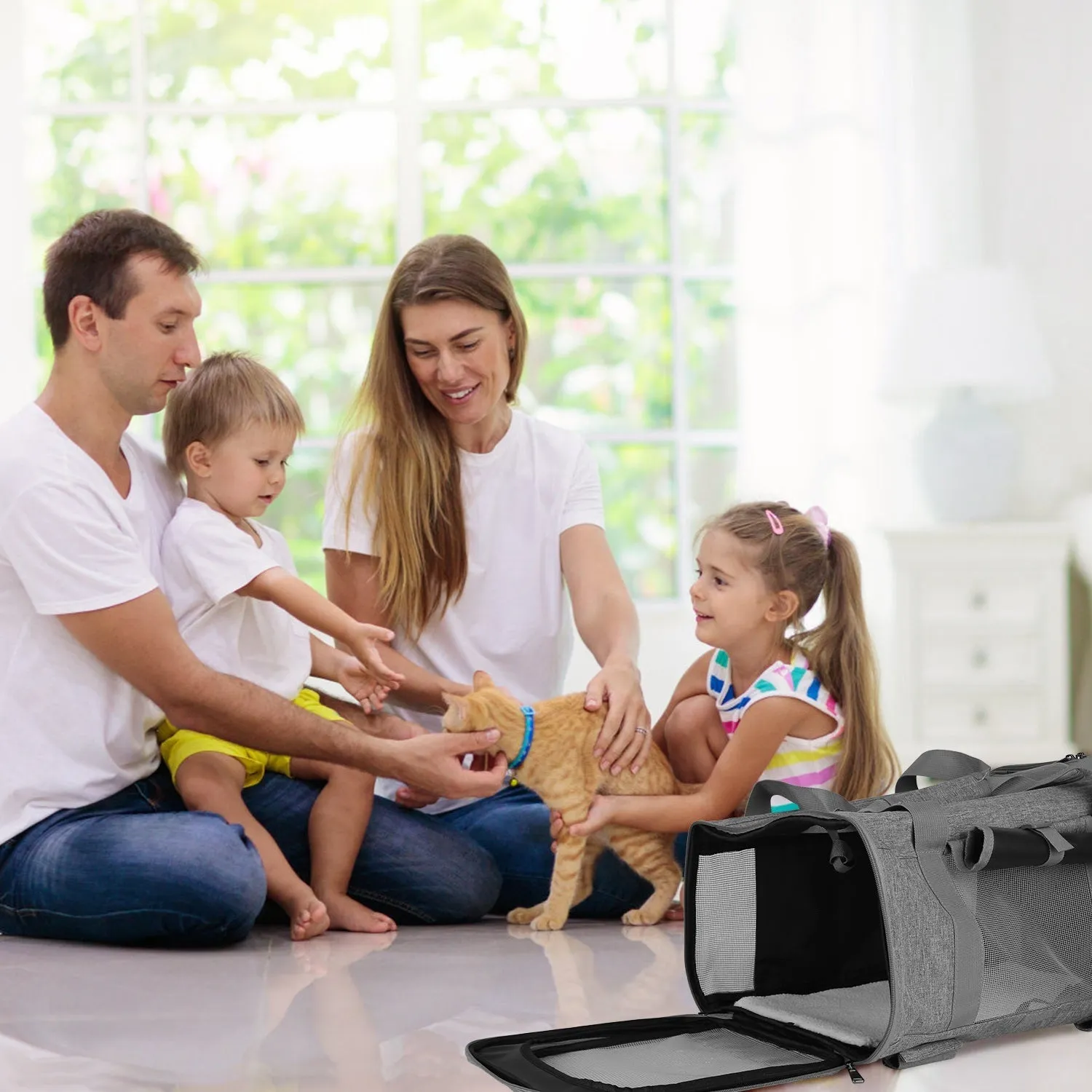 Wheeled Pet Carrier Transport