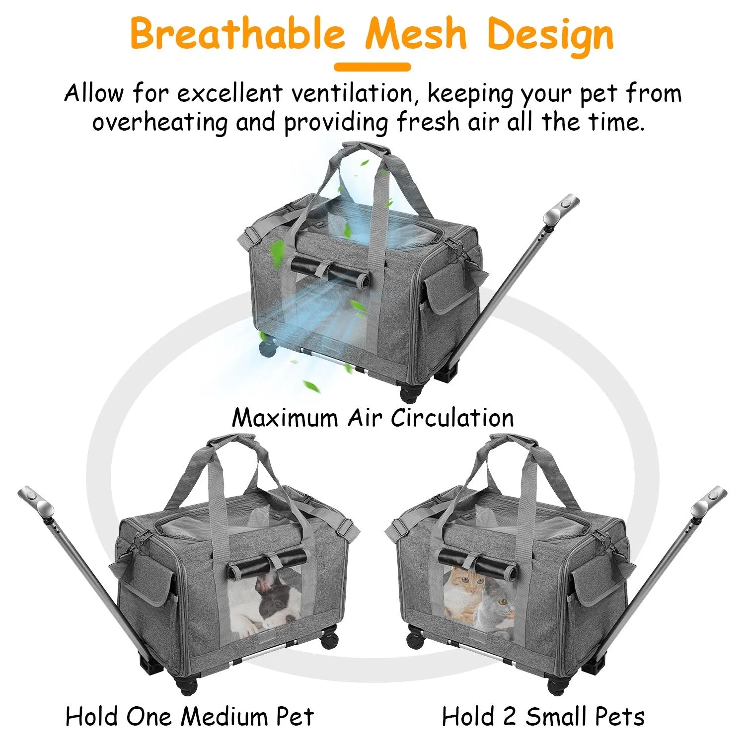 Wheeled Pet Carrier Transport